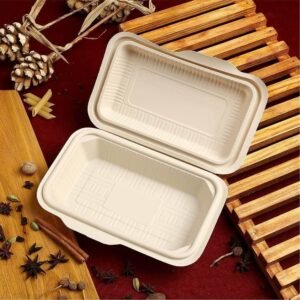 Compostable Food Packaging Boxes