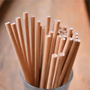 Paper Straws